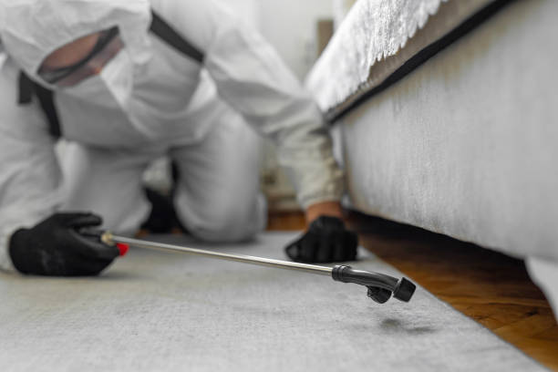 Professional Cockroach Control technician working in Three Oaks, FL